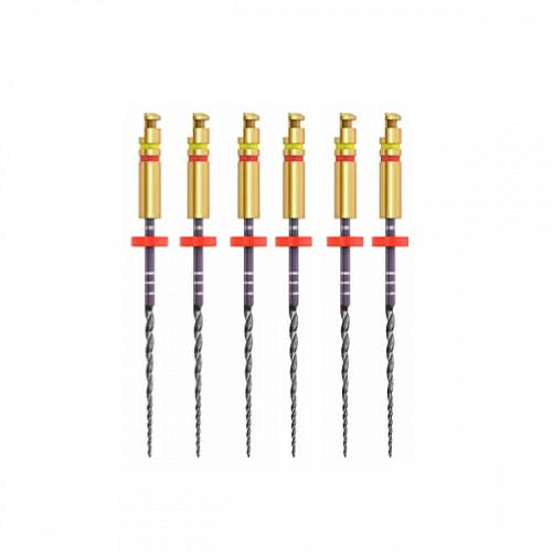 Ace ZenFlex Ni-Ti 30/.06/31mm 6buc/cut 818-2308 KERR