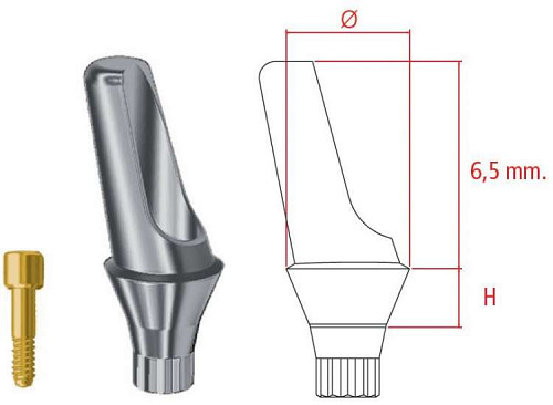 MG Inhex Mini Bont protetic angulat 15grd. 2 mm W/S 23231015