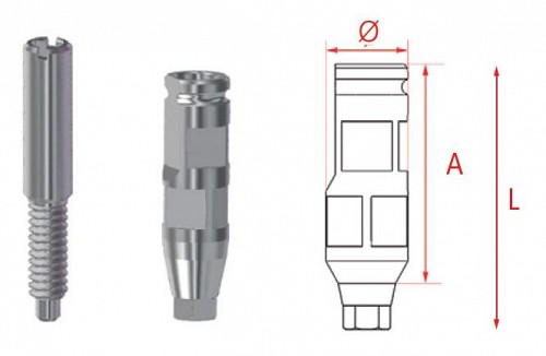 MG Bont de transfer hex. Inhex Std 23205503