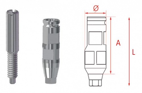 MG Bont de transfer hex. Inhex Std 23205503