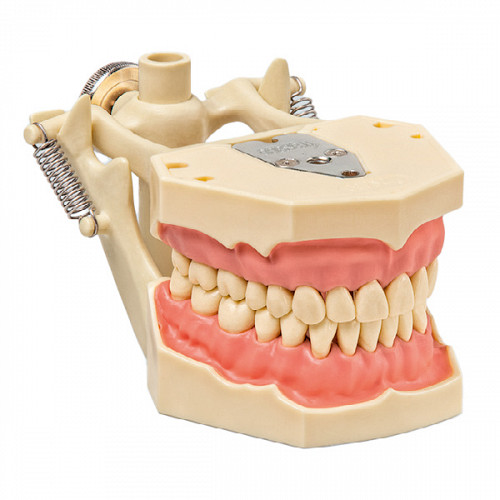 Model De Lucru Standard AG-3DA FRASACO