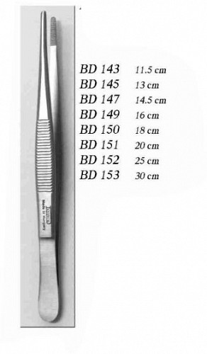 Pensa anatomica 25 cm BD152