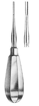 PIN Elevator apical 300-08