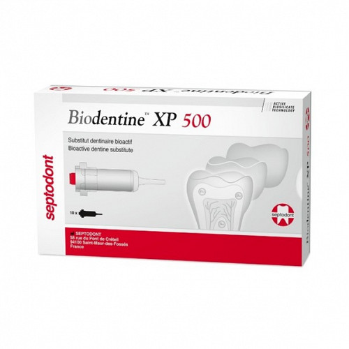 SP BIODENTINE XP 500