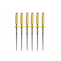 Ace ZenFlex Ni-Ti 20/.04/21mm 6buc/cut 818-1206 KERR