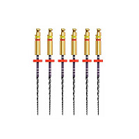 Ace ZenFlex Ni-Ti 30/.06/31mm 6buc/cut 818-2308 KERR