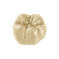 Ceara modelat Dentaurum dentina B3 50 g - imagine 2