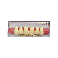 Estetis garnituri dinti  acrilat - Premium, 3 Layered, 1sina/set - imagine 2