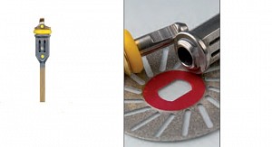 Mandrina rapida DFS 810001