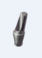 MG Inhex Bont protetic angulat 20 GRD STD 5mm W/S 23201520