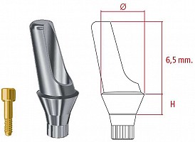 MG Inhex Mini Bont protetic angulat 15grd. 2 mm W/S 23231015