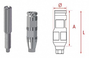 MG Bont de transfer hex. Inhex Std 23205503