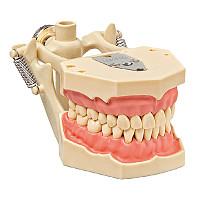 Model De Lucru Standard AG-3DA FRASACO