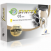 SYNTEX Pasta Sigilare Canal 10g CERKAMED