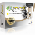 CK Syntex 10g canal sealer