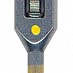 Mandrina rapida DFS 810001
