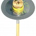 Mandrina rapida DFS 810001