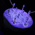 Scanner Laborator UP560 UP3D